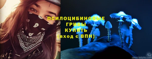 альфа пвп Нея
